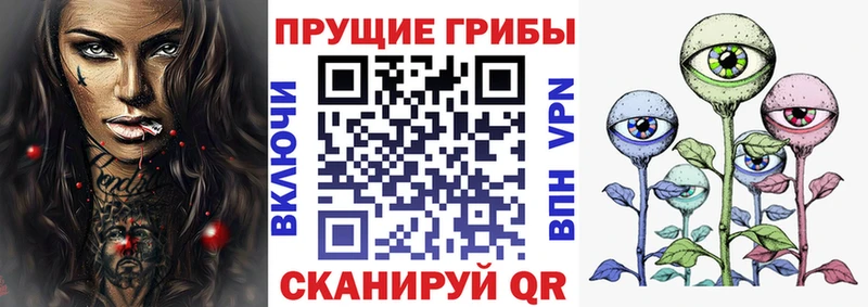 kraken вход Томари Галлюциногенные грибы Cubensis
